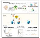 cell reports_small_2023