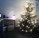 teaser_tree