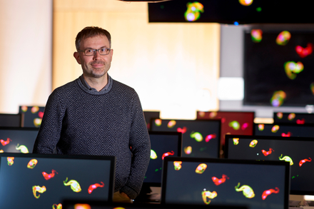 BMC scientist Nicolai Siegel is awarded an ERC grant 