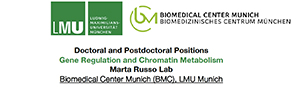 phd_russo